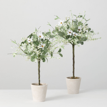 Load image into Gallery viewer, Daisy / Eucalyptus Topiary SM/LG