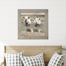 Load image into Gallery viewer, Little Piggies