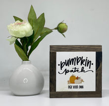 Load image into Gallery viewer, Pumpkin path pick your own