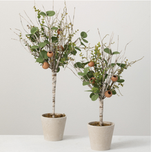 Load image into Gallery viewer, Birch Eucalyptus Topiary SM/LG