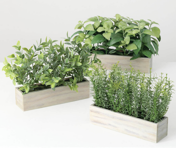 Herbs Wooden Box