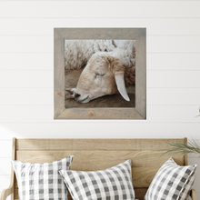 Load image into Gallery viewer, Silent Sheep