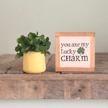 Load image into Gallery viewer, You Are My Lucky Charm, St. Patrick&#39;s Day Decor, Irish Sign, Small Wood Signs, Bog Road Designs