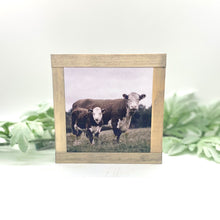 Load image into Gallery viewer, Farmhouse Animals