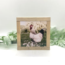 Load image into Gallery viewer, Farmhouse Animals