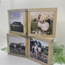 Load image into Gallery viewer, Farmhouse Animals