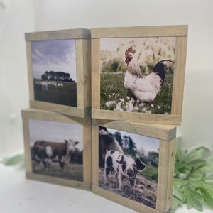 Farmhouse Animals