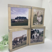 Load image into Gallery viewer, Farmhouse Animals