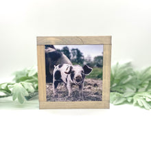 Load image into Gallery viewer, Farmhouse Animals