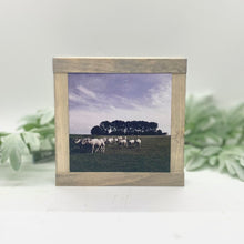 Load image into Gallery viewer, Farmhouse Animals